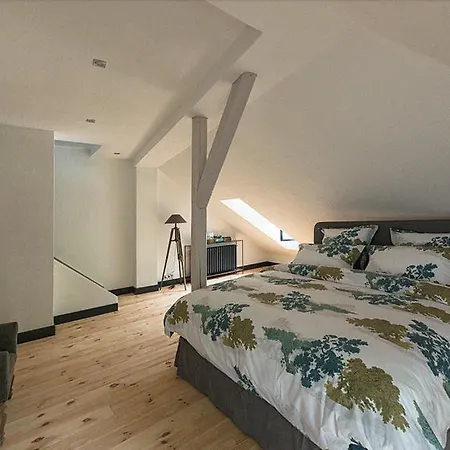 Mlyn Danemark Hotel *